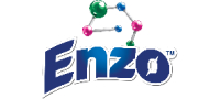 Enzo